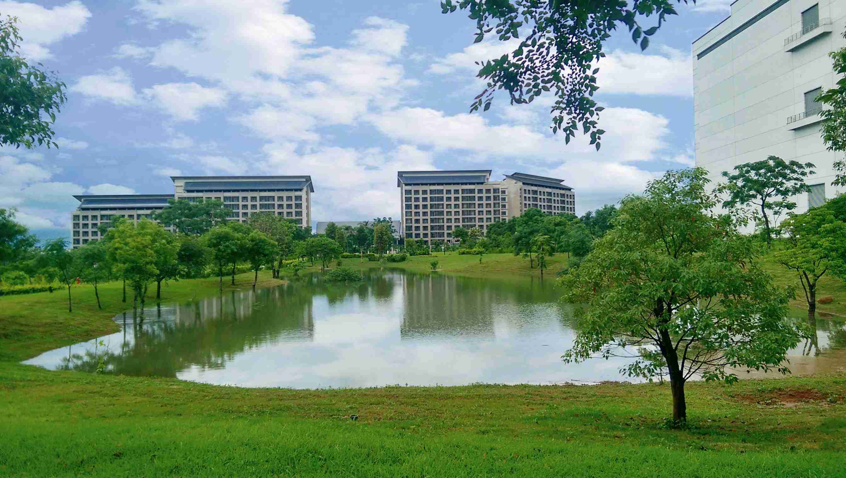 彩运网响应国际倡议生物多样性趋势，，，，首次发布TNFD自然相关财务揭露报告书，，，擘划及开展彩运网生物多样性政策之承诺，，，，逐步迈向与自然和谐共生